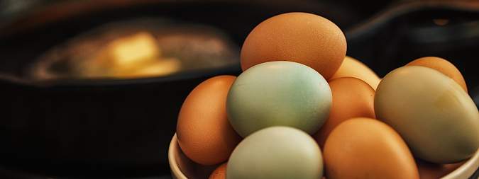 Northern Virginia Pastured Free-Range Chicken Eggs