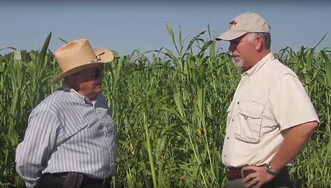 Using Multi-Species Cover Crops to Improve Soil Health